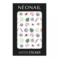 Water sticker - NN12
